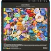 image:image2Pack of 1000Piece Jigsaw Puzzles Succulents amp Rocks and Minerals  Puzzles for Adults and Kids Ages 8 Amazon ExclusiveSucculents  Rocks and Minerals