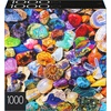 image:image2Pack of 1000Piece Jigsaw Puzzles Succulents amp Rocks and Minerals  Puzzles for Adults and Kids Ages 8 Amazon ExclusiveSucculents  Rocks and Minerals
