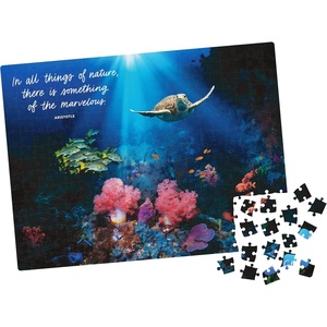image:image300Piece Calm Jigsaw Puzzle for Relaxation Stress Relief and Mood Elevation for Adults and Kids Ages 8 and up Sunflower FieldsCalm Coral